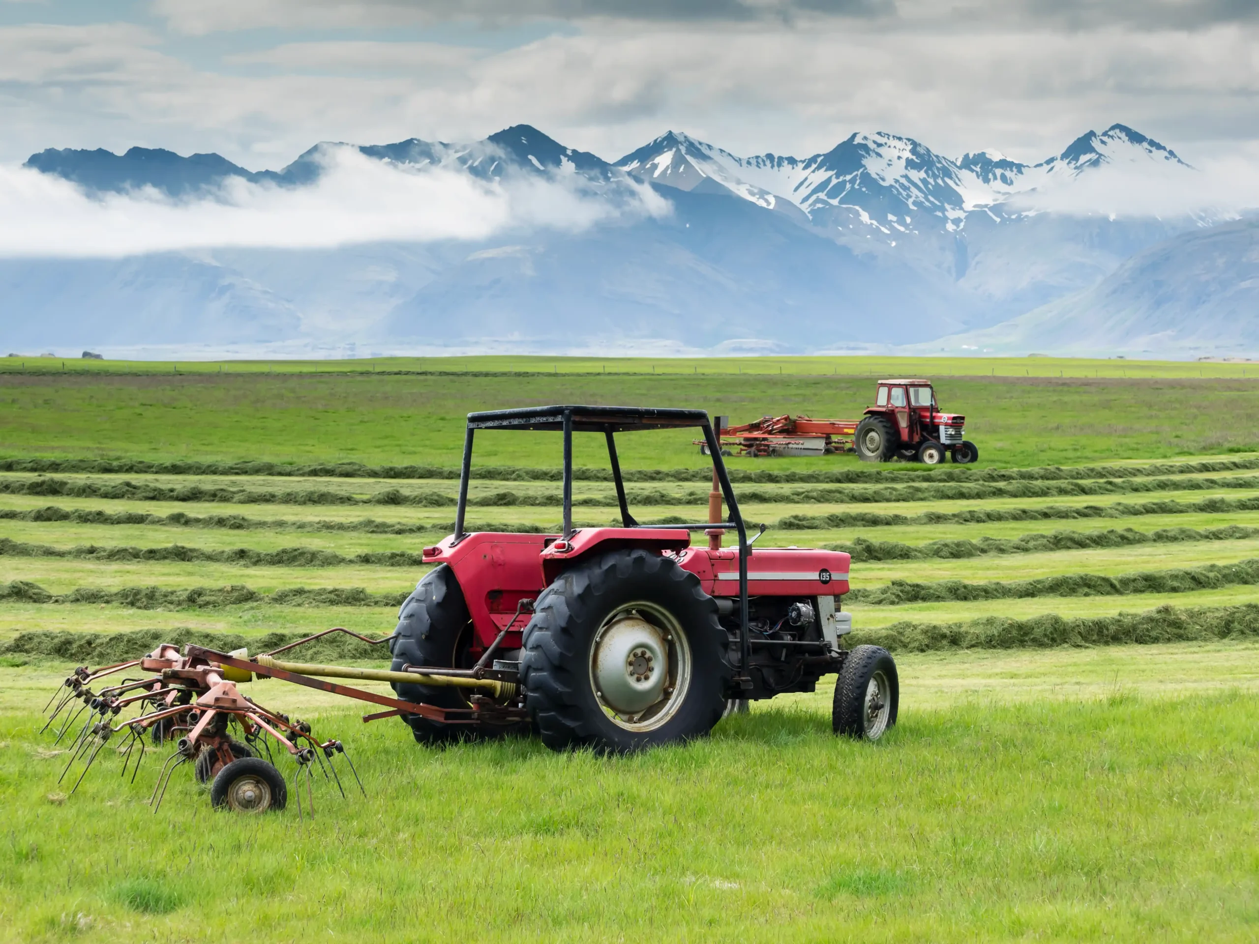 Logística y aplicación: Cómo integrar la leonardita en tu calendario agrícola