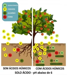 comparasao com e sem acidos humicos