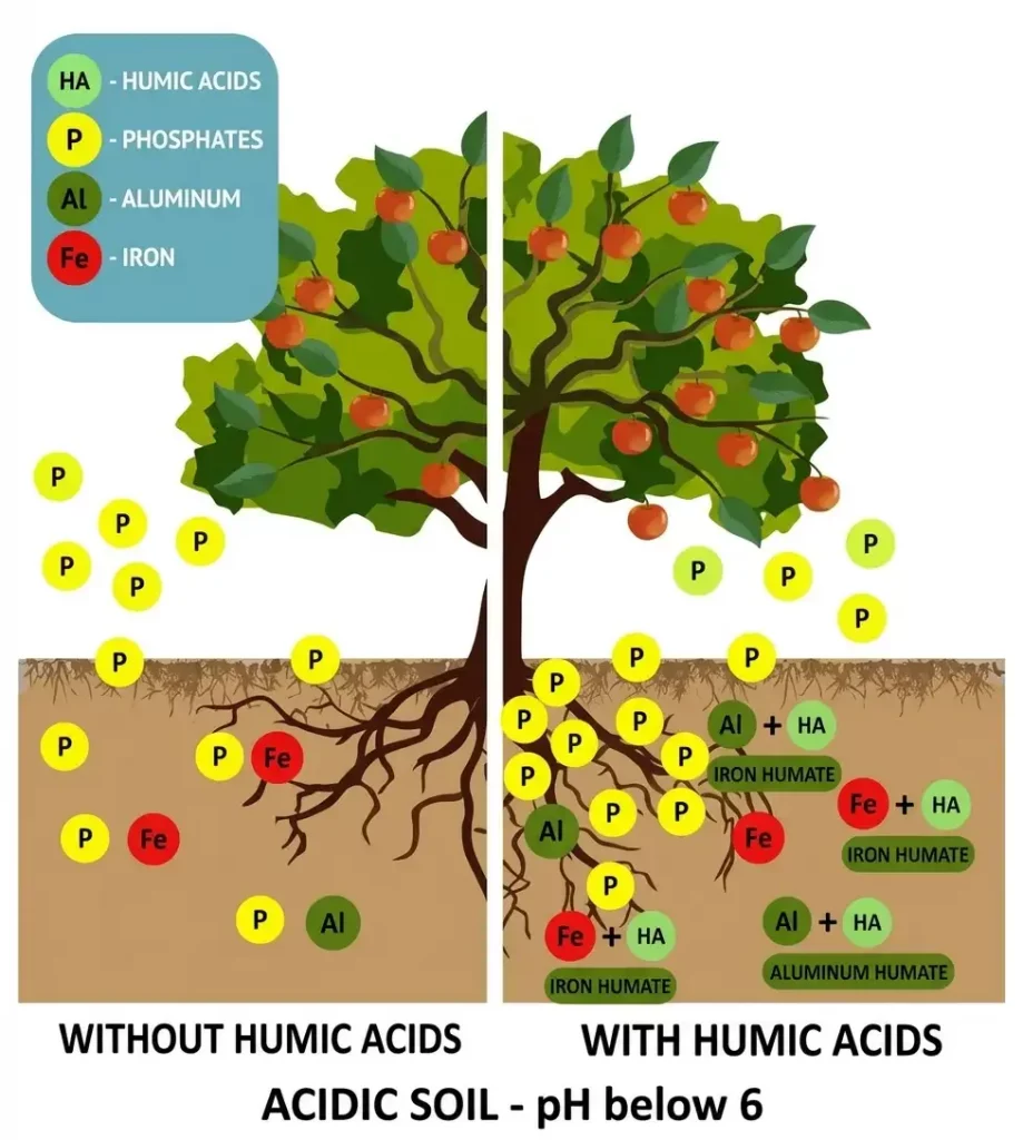 leonardite benefits comparation
