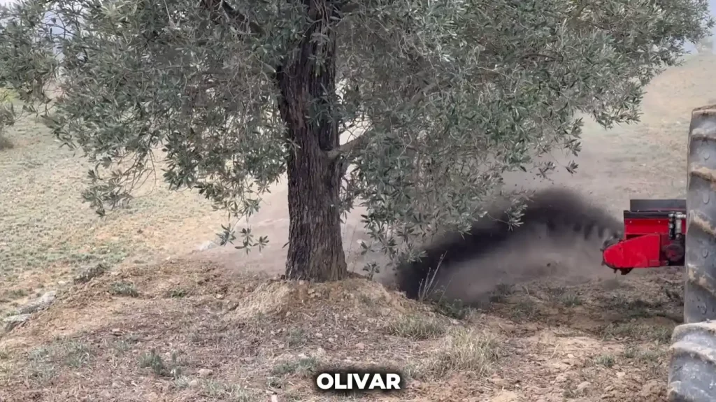 aplicacion de leonardita en olivar